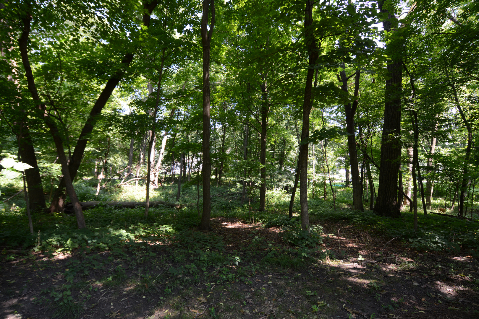 4N150 Thorntree Road St. Charles, IL 60174 - Photo 28 of 29 a backyard of a house with lots of green space