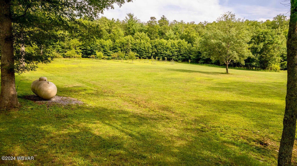 183 Selfe Road Mill Hall, PA 17751 - Photo 40 of 65 1000046885