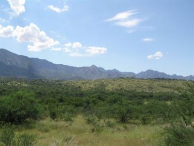5346 East Edwin Road Tucson, AZ 85739 - Photo 10 of 10 Gallery Image 10