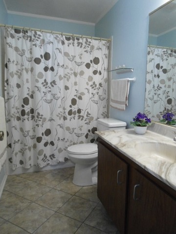 397 Springlake Lane, Unit D Aurora, IL 60504 - Photo 11 of 18
