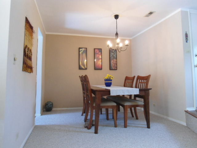 397 Springlake Lane, Unit D Aurora, IL 60504 - Photo 4 of 18