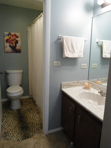 397 Springlake Lane, Unit D Aurora, IL 60504 - Photo 8 of 18