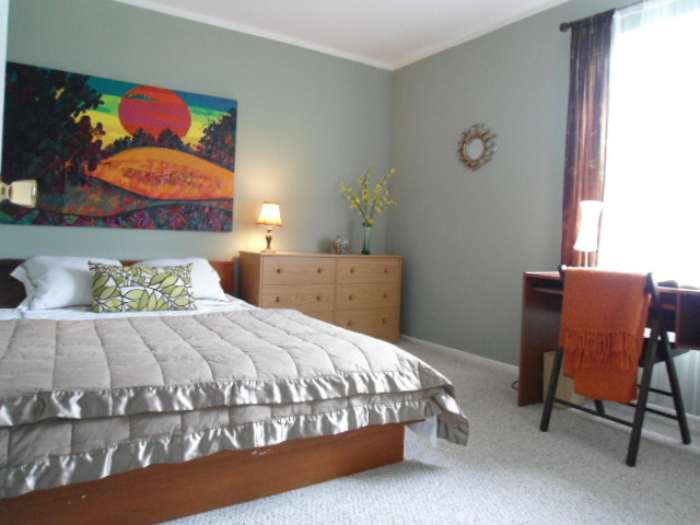 397 Springlake Lane, Unit D Aurora, IL 60504 - Photo 9 of 18