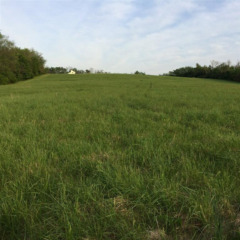 8265 Tates Creek Road Lexington, KY 40515 - Photo 12 of 14 Photo 12