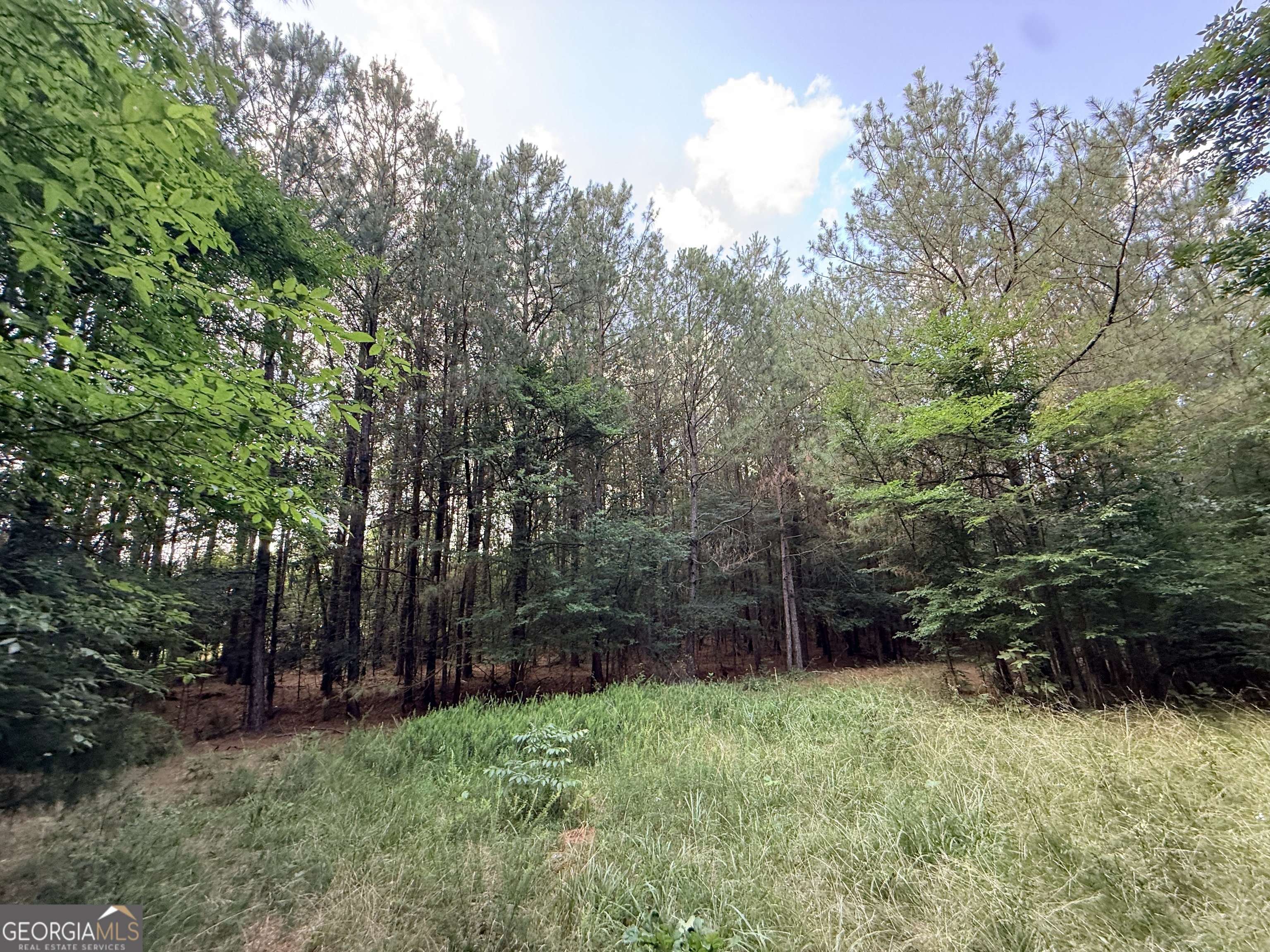 2 Bethesda Church Road Lexington, GA 30648 - Photo 1 of 66