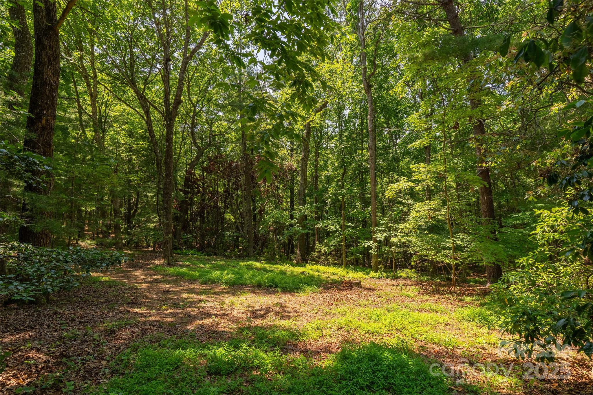 2 Oak Grove Road Arden, NC 28704 - Photo 35 of 39 Gallery Image 35