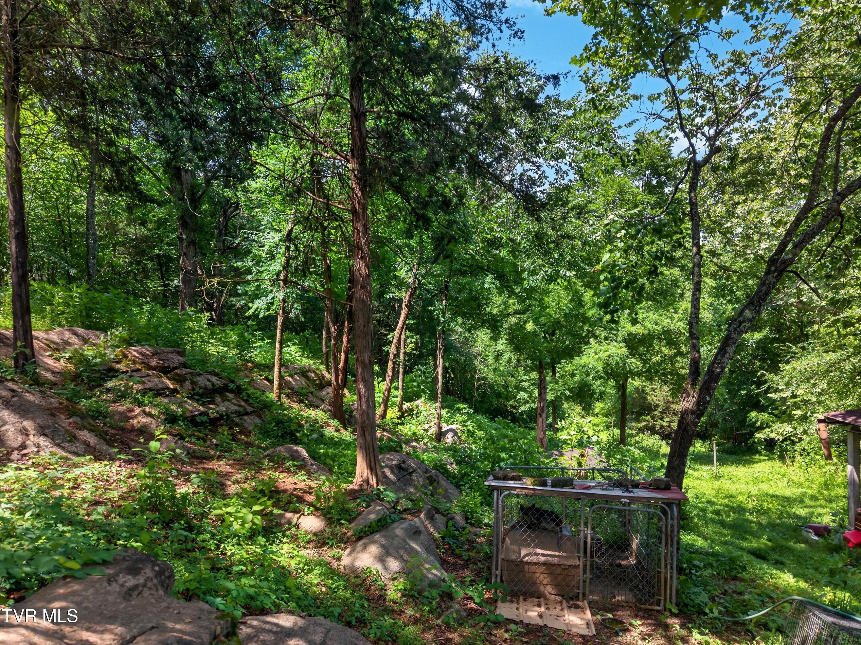 2087 Bullen Valley Road Thorn Hill, TN 37881 - Photo 29 of 29 029-2087BullenValleyRoad-ThornHill-TN-37