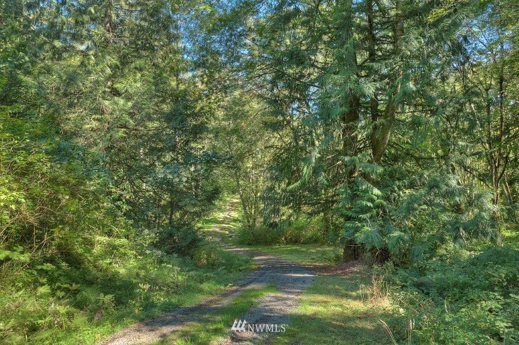 591 Embody Road Port Ludlow, WA 98365 - Photo 6 of 25