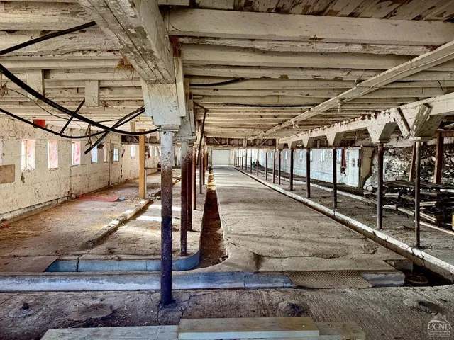 a view of backyard with tub and trampoline