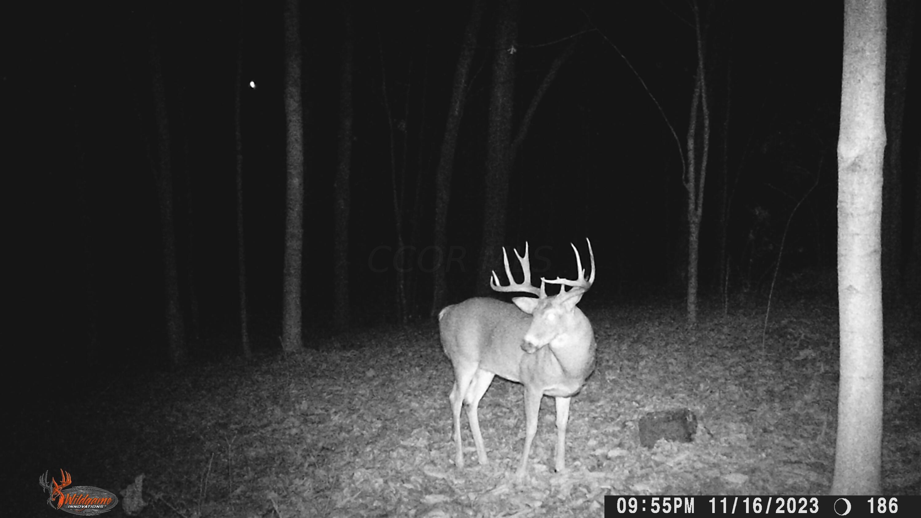 427 Riddle Lane Chillicothe, OH 45601 - Photo 39 of 42 38. Wildlife Photo
