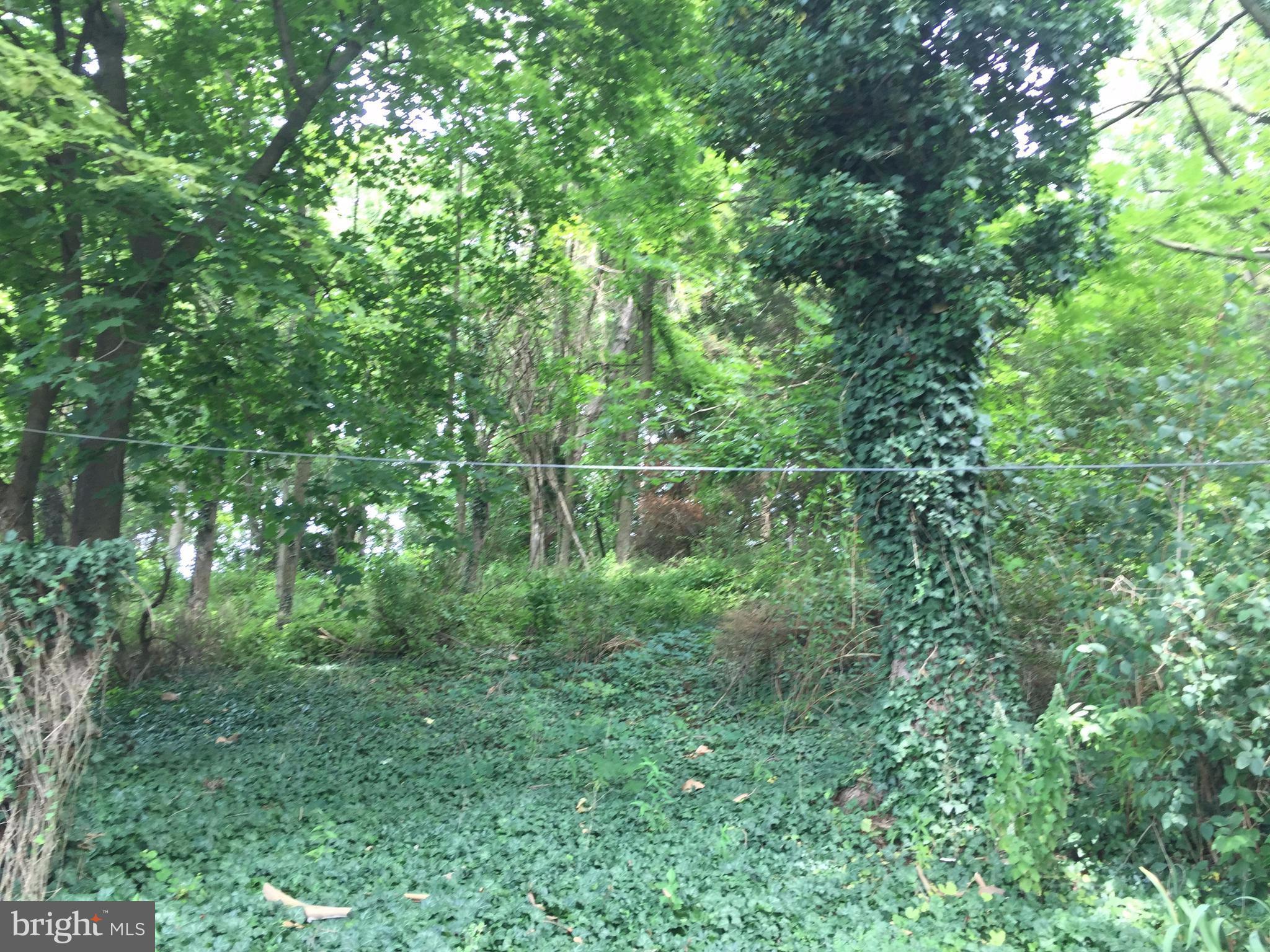 12684 Cold Springs Road Waynesboro, PA 17268 - Photo 25 of 26 Acreage behind house