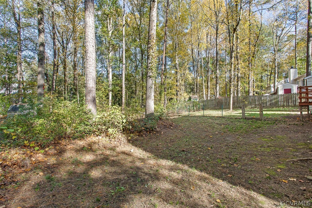 4501 Rabbit Foot Lane North Chesterfield, VA 23236 - Photo 27 of 32 a backyard of a house with lots of green space