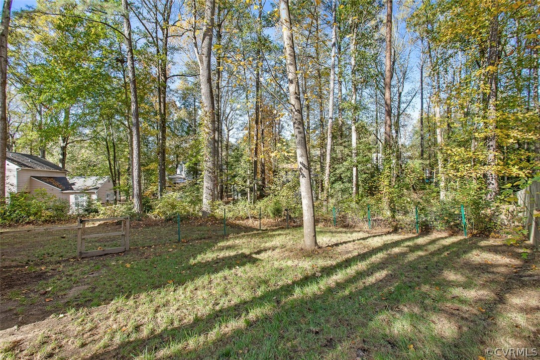 4501 Rabbit Foot Lane North Chesterfield, VA 23236 - Photo 29 of 32 a view of a yard with plants and large trees