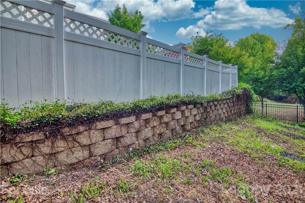 225 Mills Lane Fort Mill, SC 29708 - Photo 39 of 45 Gallery Image 39