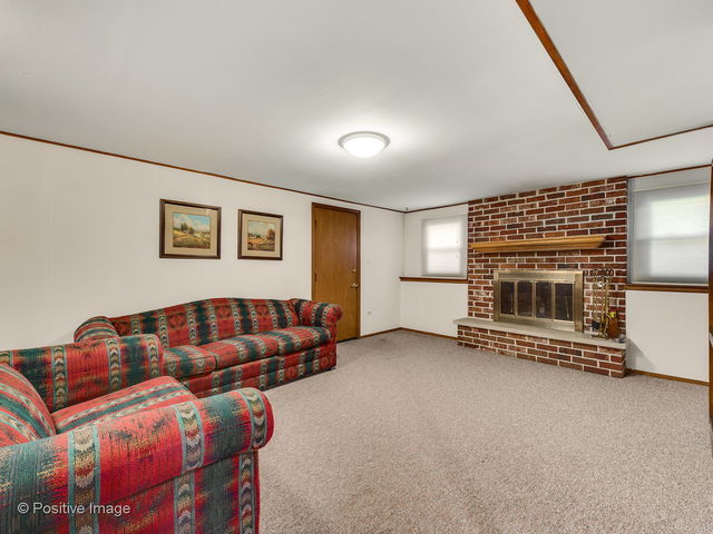 7827 Rohrer Drive Downers Grove, IL 60516 - Photo 12 of 18