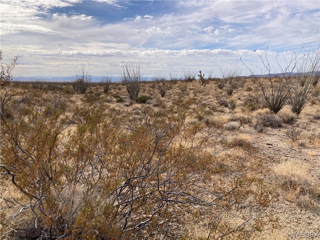 0 Rosewell Road Yucca, AZ 86438 - Photo 3 of 5 Gallery Image 3