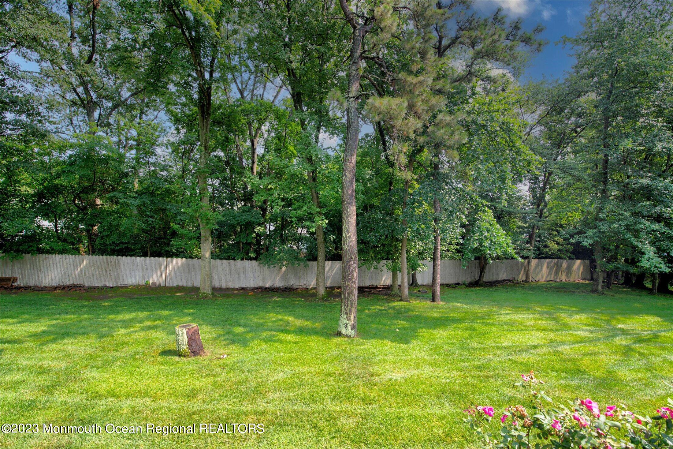 2 Apollo Road Manalapan, NJ 07726 - Photo 23 of 25 27-BACK YARD
