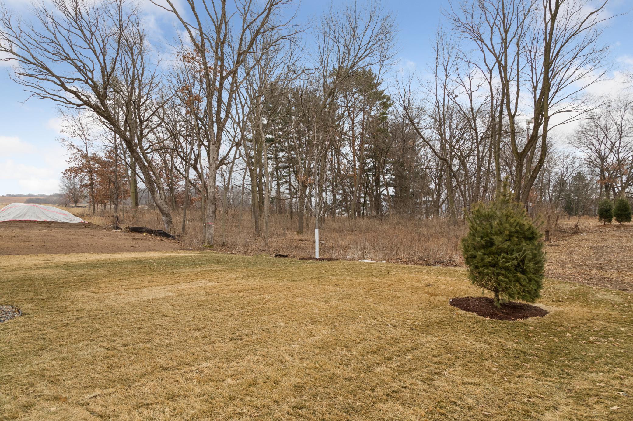 6547 108th Street South Cottage Grove, MN 55016 - Photo 46 of 47