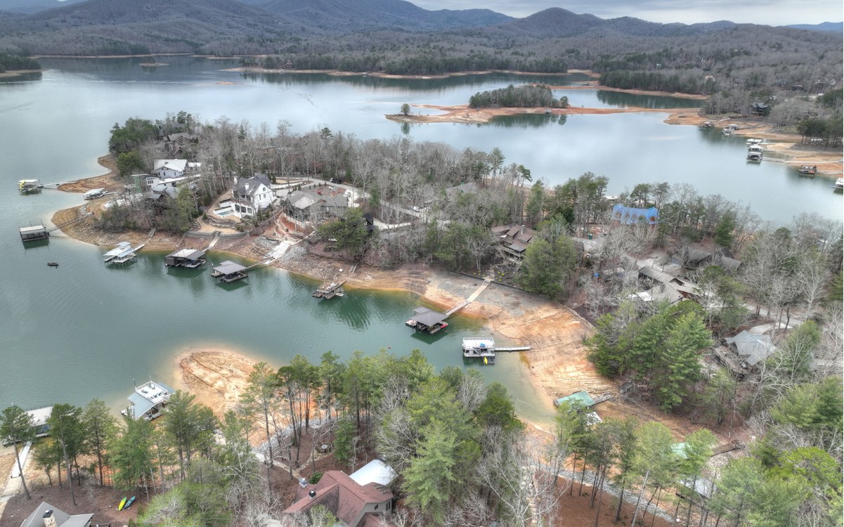 160 Azure Point Blue Ridge, GA 30513 - Photo 43 of 74 Additional View
