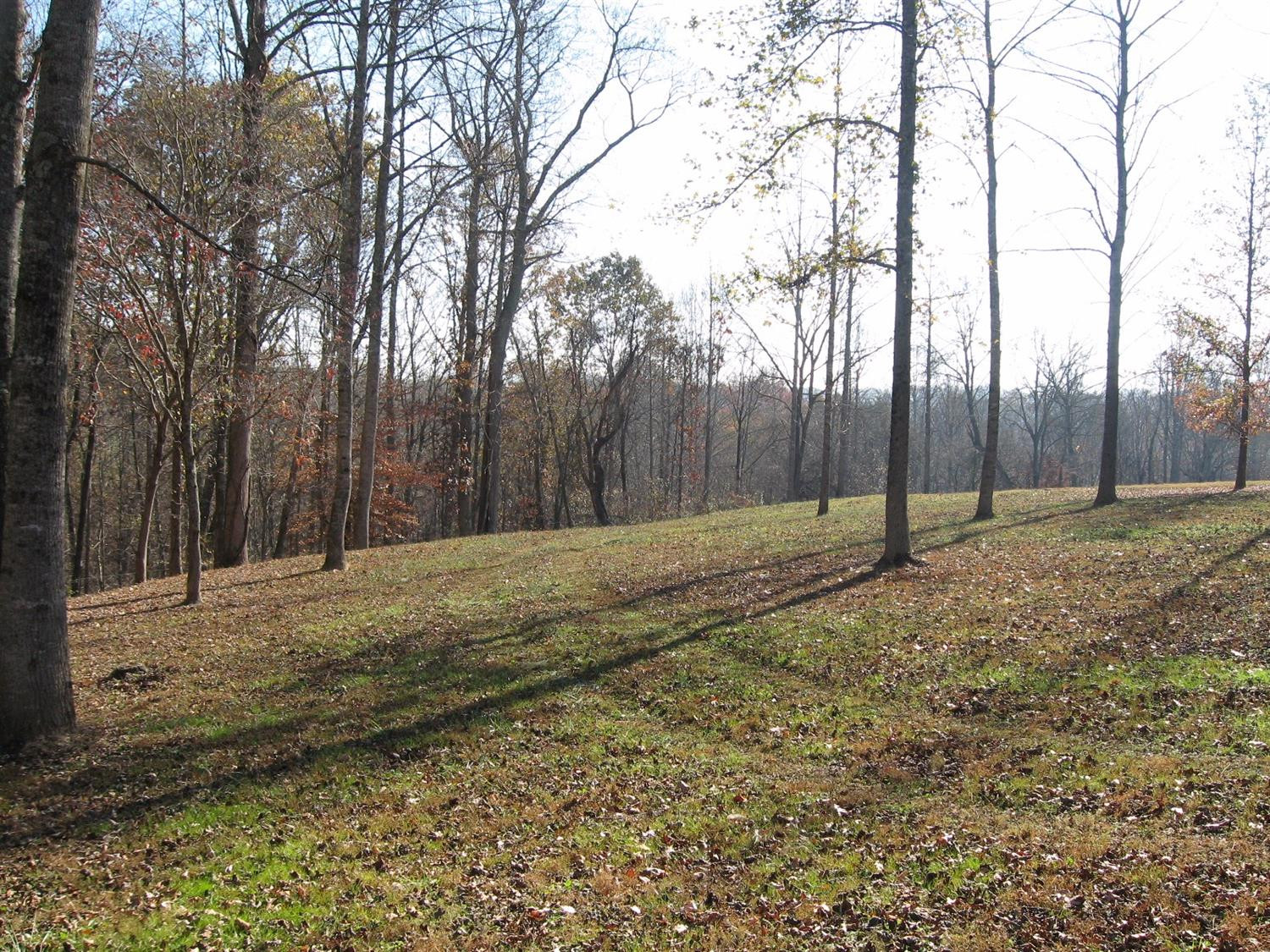 424 Slate Lick Church Road London, KY 40741 - Photo 57 of 74 Photo 59