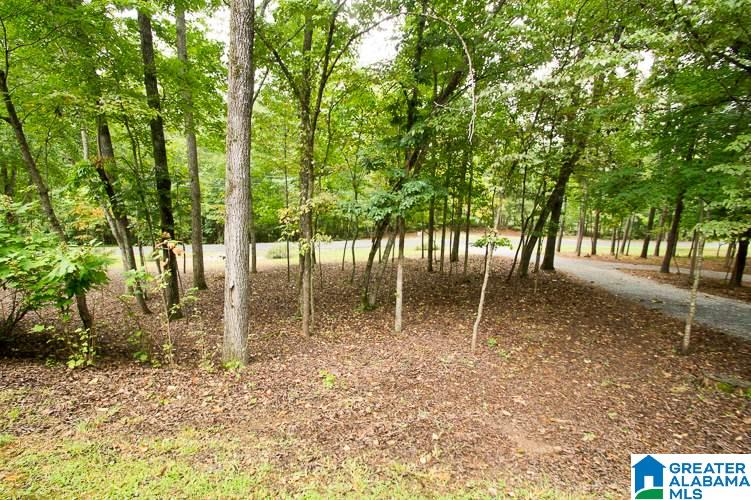 243 Christopher Cove Sterrett, AL 35147 - Photo 32 of 41