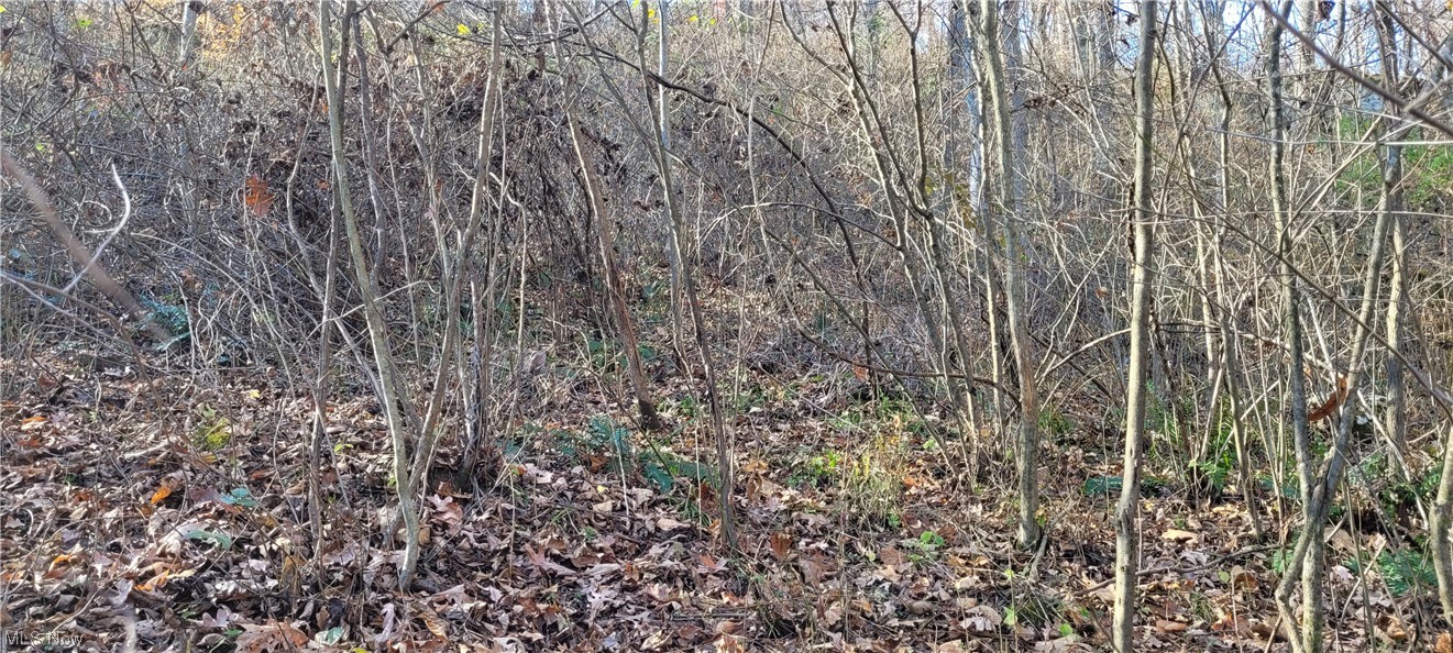 Johnson Run Road Newcomerstown, OH 43832 - Photo 25 of 35 Gallery Image 25