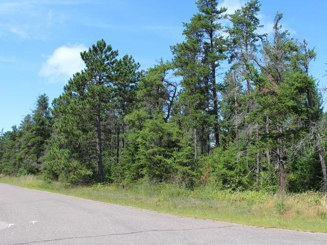 10238 Gentle Ben Road Tomahawk, WI 54487 - Photo 5 of 6 Gallery Image 5