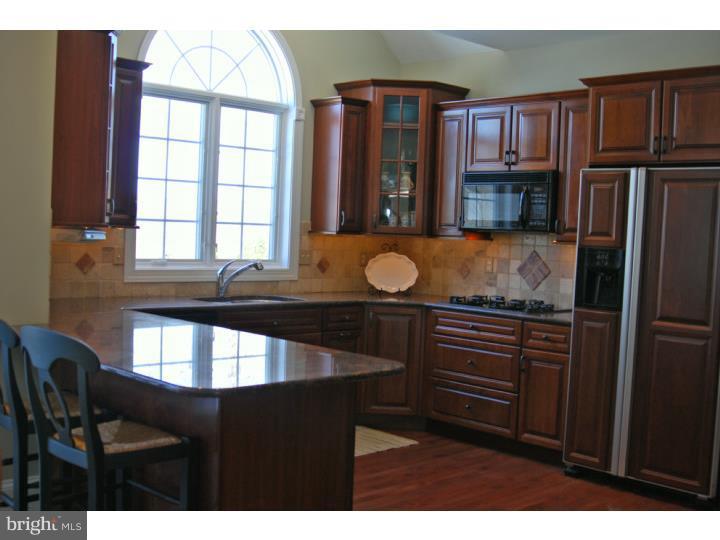 111 Bodine Road Berwyn, PA 19312 - Photo 6 of 13 Kitchen