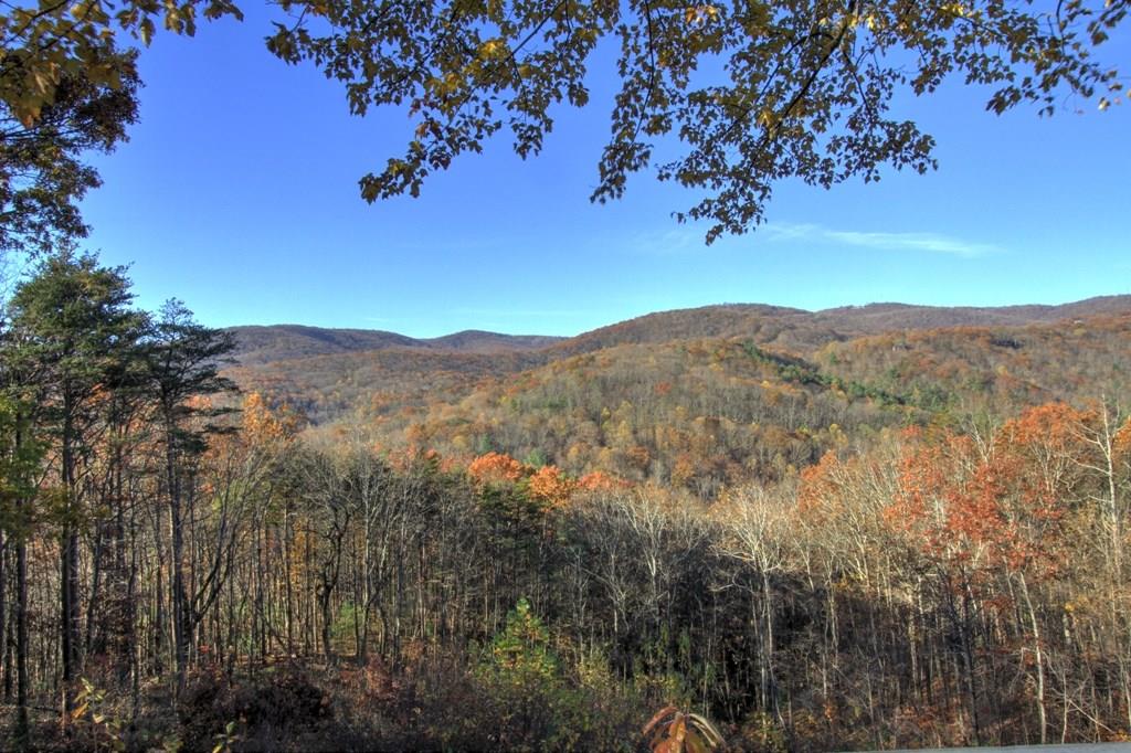 1004 Eagle Ridge Road Dawsonville, GA 30534 - Photo 1 of 1 Gallery Image 1
