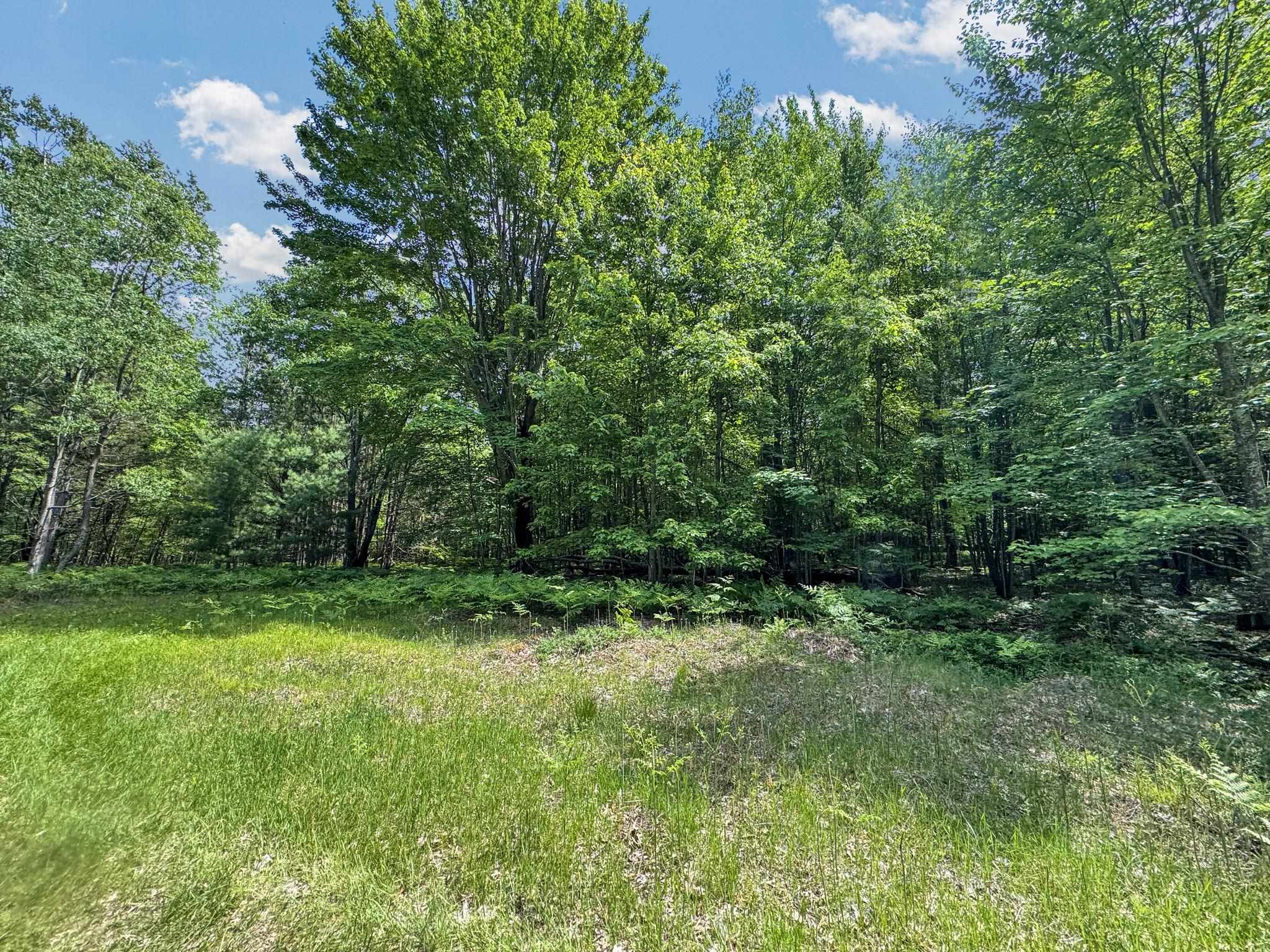 Parcel B Seeley Road Cadillac, MI 49651 - Photo 13 of 17