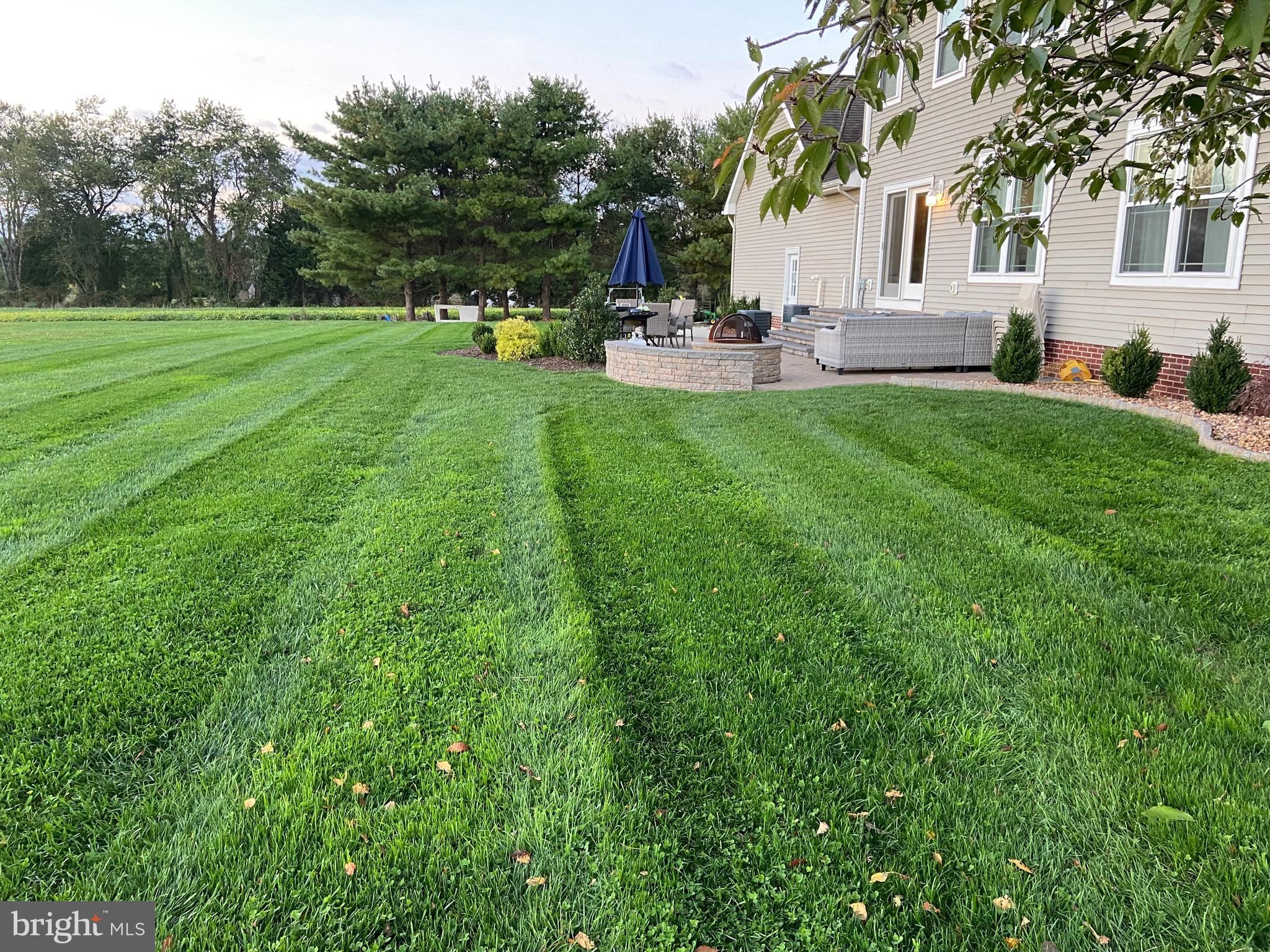 317 Cobbs Mill Road Bridgeton, NJ 08302 - Photo 3 of 34