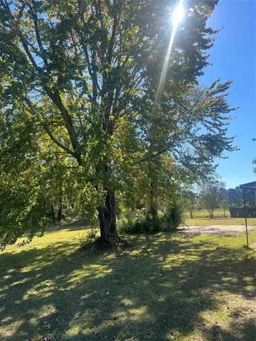 a view of a yard with a tree