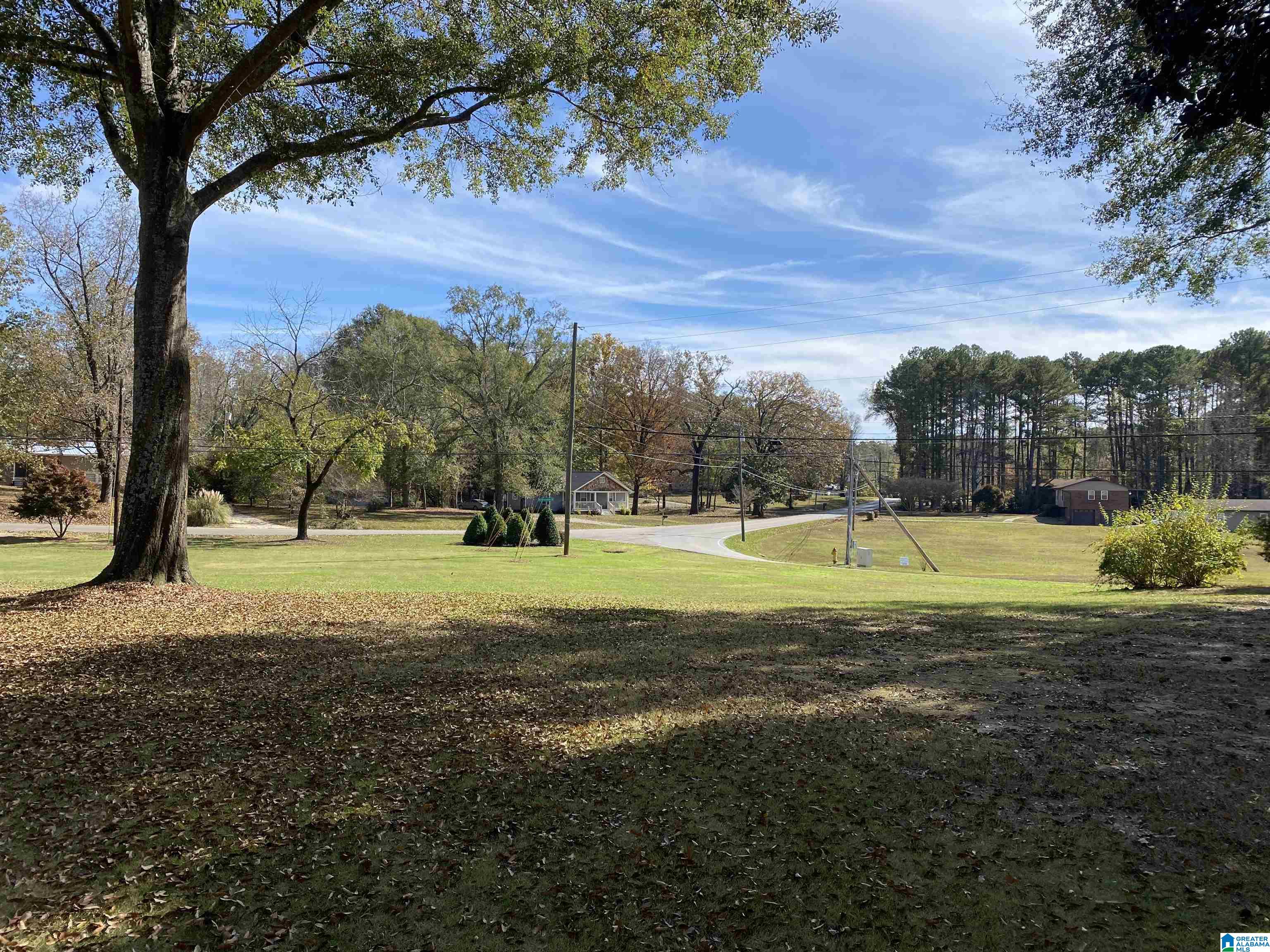 6406 Water Works Road Mount Olive, AL 35117 - Photo 11 of 63