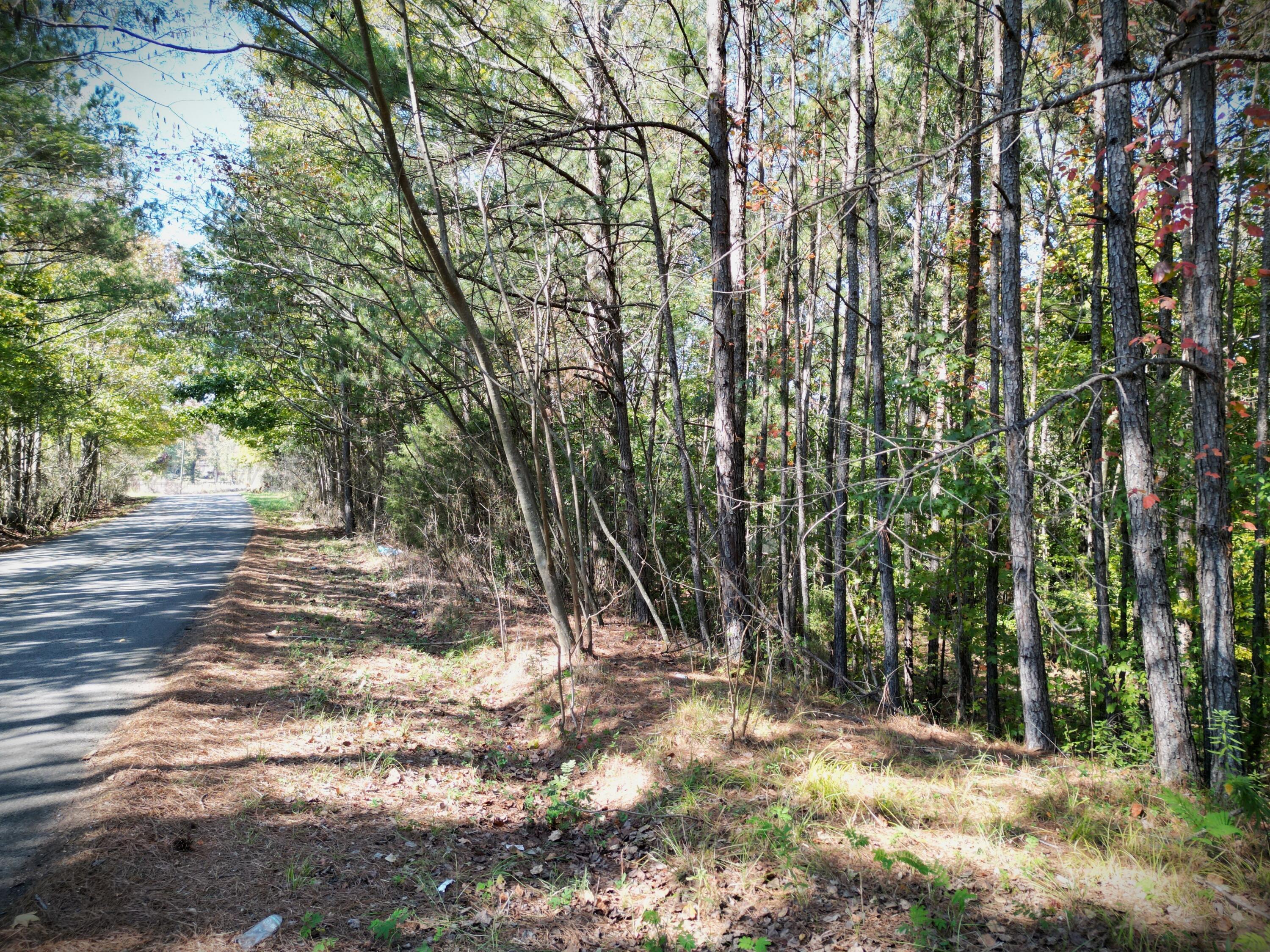 Franklin Road Oakman, AL 35579 - Photo 4 of 9 Gallery Image 4
