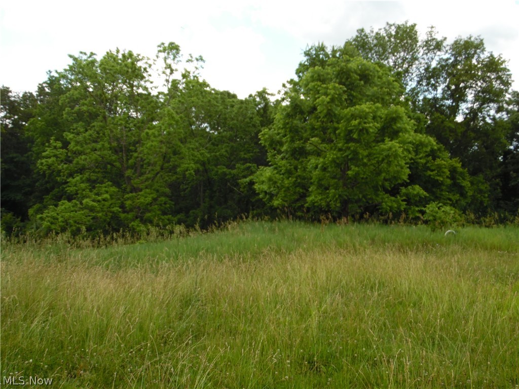 84 Sealy Ridge Road Little Hocking, OH 45742 - Photo 49 of 50