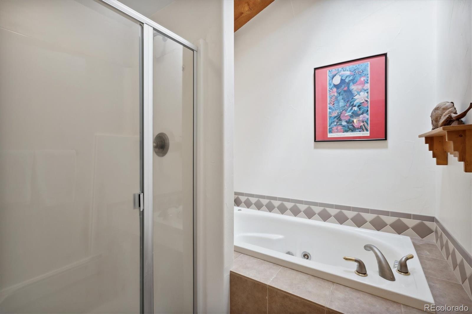 4671 Independence Trail Evergreen, CO 80439 - Photo 19 of 39 a bathroom with a bathtub and a shower