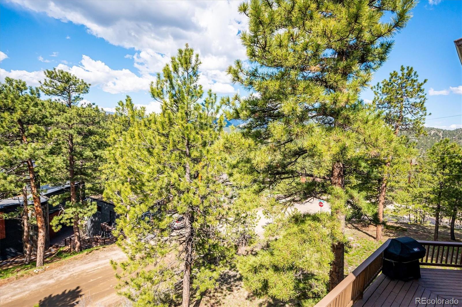 4671 Independence Trail Evergreen, CO 80439 - Photo 35 of 39 a view of a yard with plants