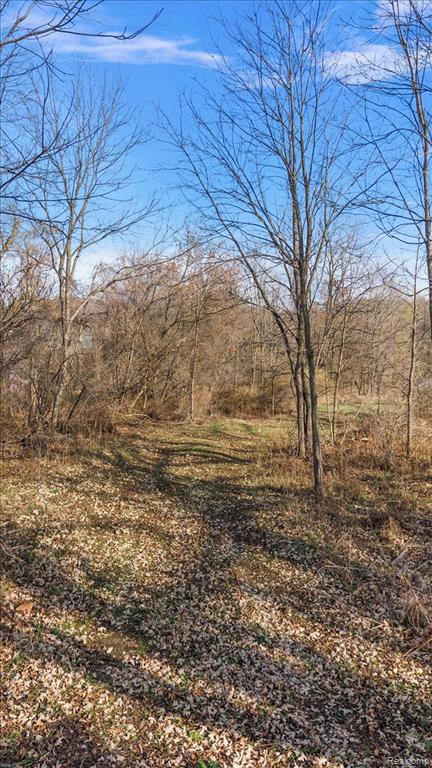 0 Collins Road Oakland, MI 48306 - Photo 13 of 16