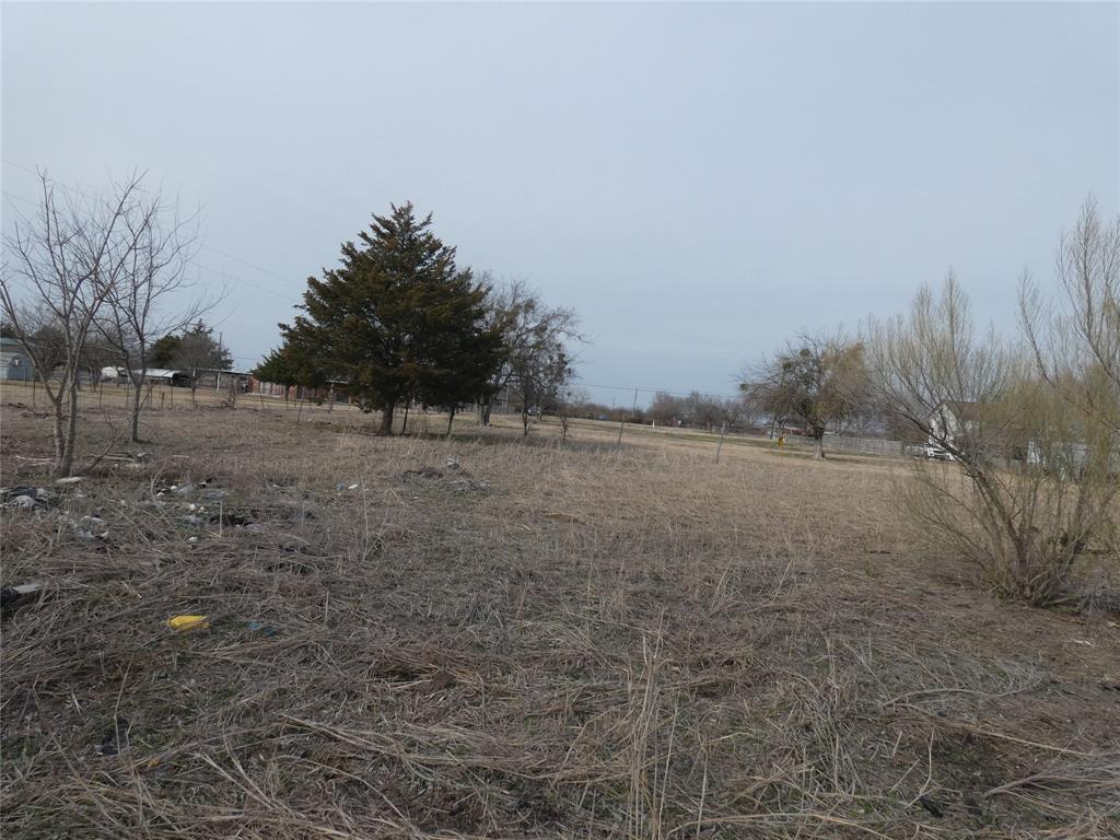 632 East Reindeer Road Lancaster, TX 75146 - Photo 11 of 24 a view of a dry yard with trees