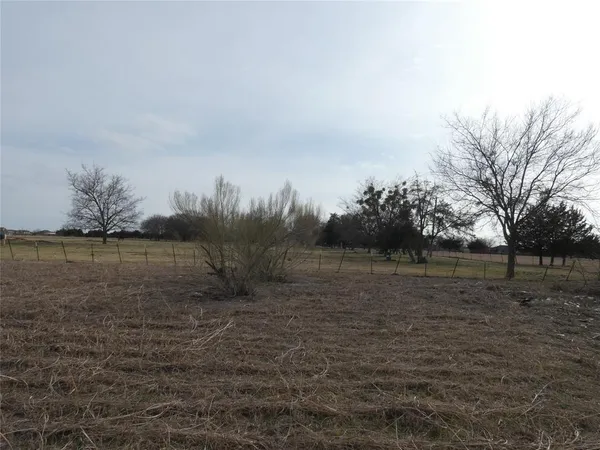 a view of yard with green space