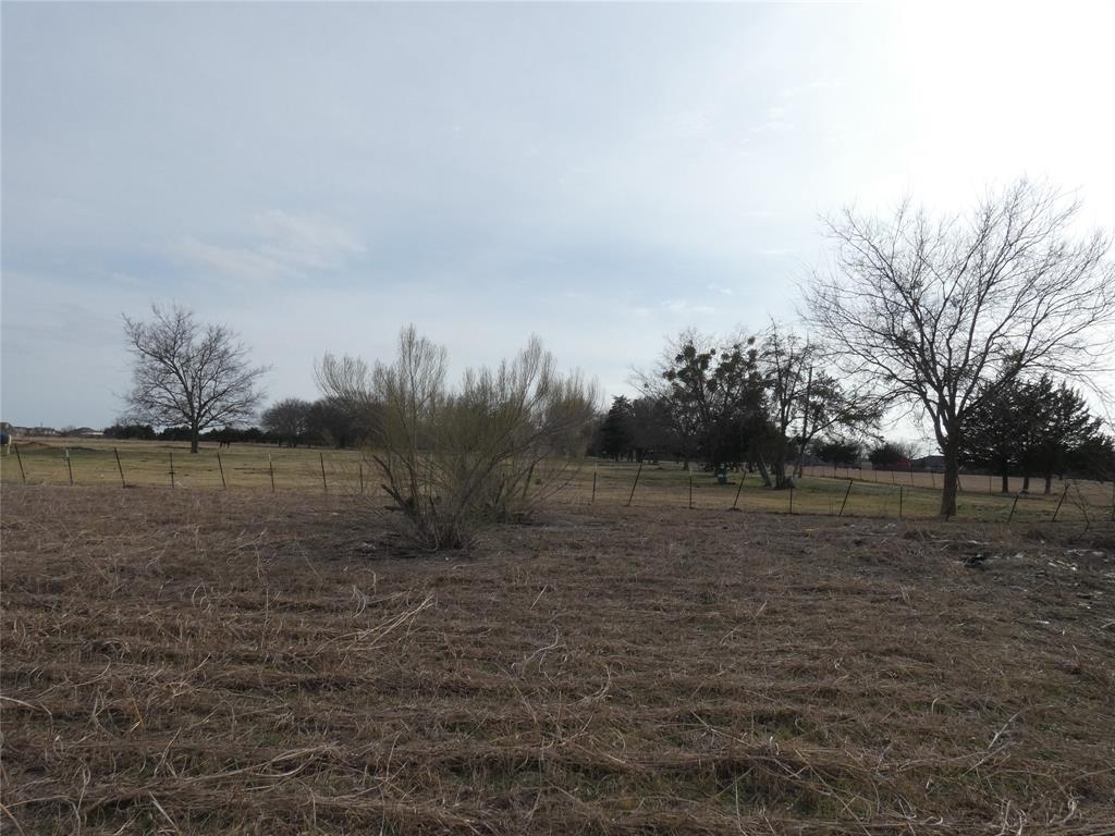 632 East Reindeer Road Lancaster, TX 75146 - Photo 12 of 24 a backyard of a house with lots of green space