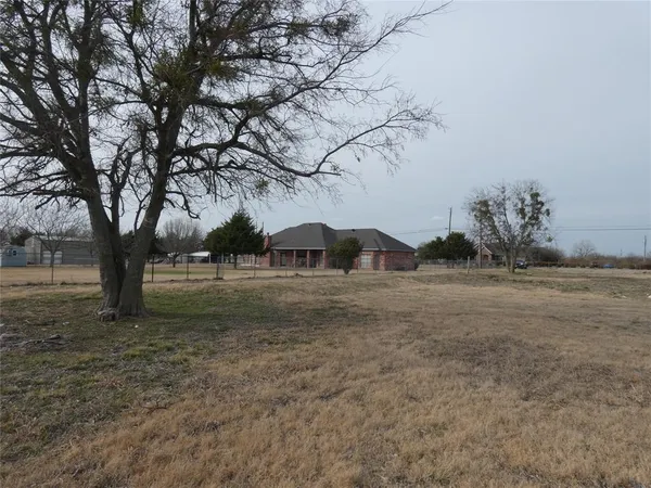 a view of a yard with a tree