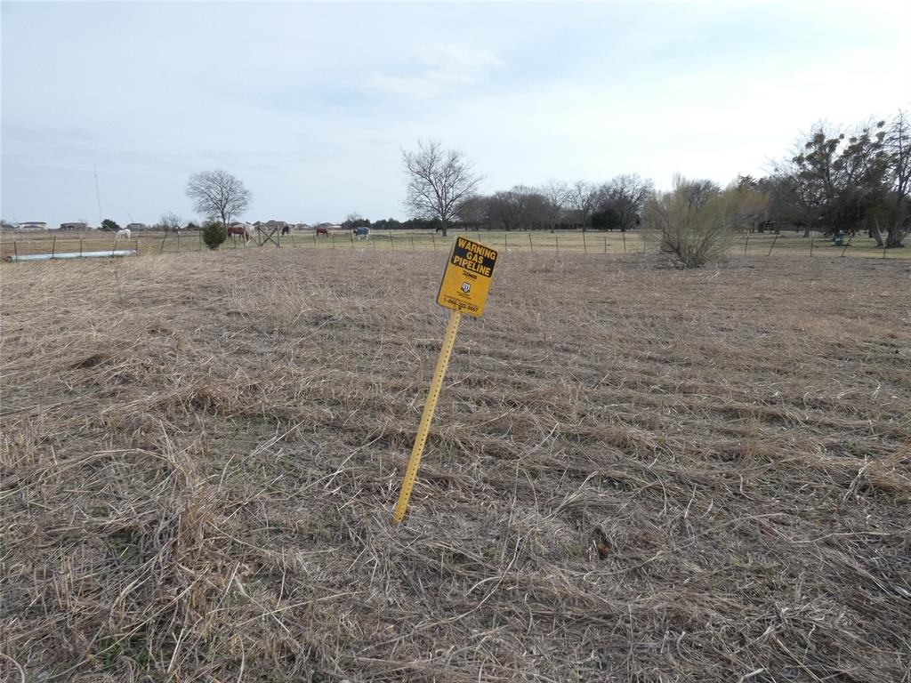 632 East Reindeer Road Lancaster, TX 75146 - Photo 23 of 24 a backyard of a house with lots of green space