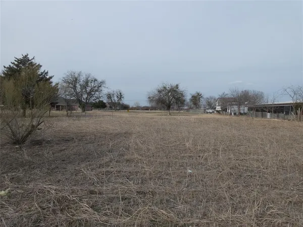 a view of a dry yard with trees in the background