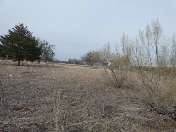 a view of dirt field with trees