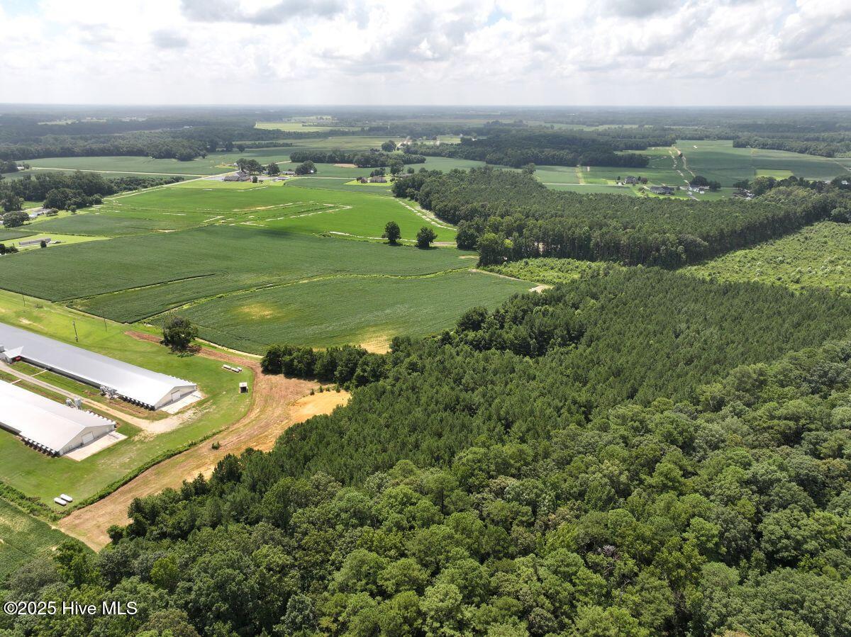 0 Old Mill Road Stantonsburg, NC 27883 - Photo 13 of 41 13