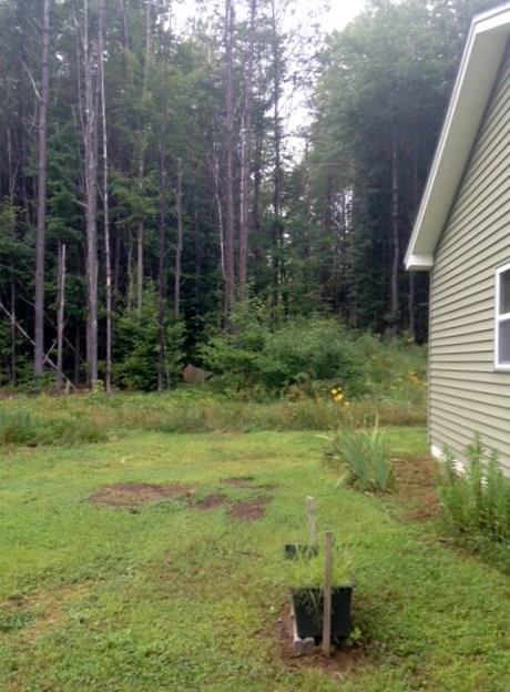 631 Greenwoods Road Peru, ME 04290 - Photo 14 of 17 Photo