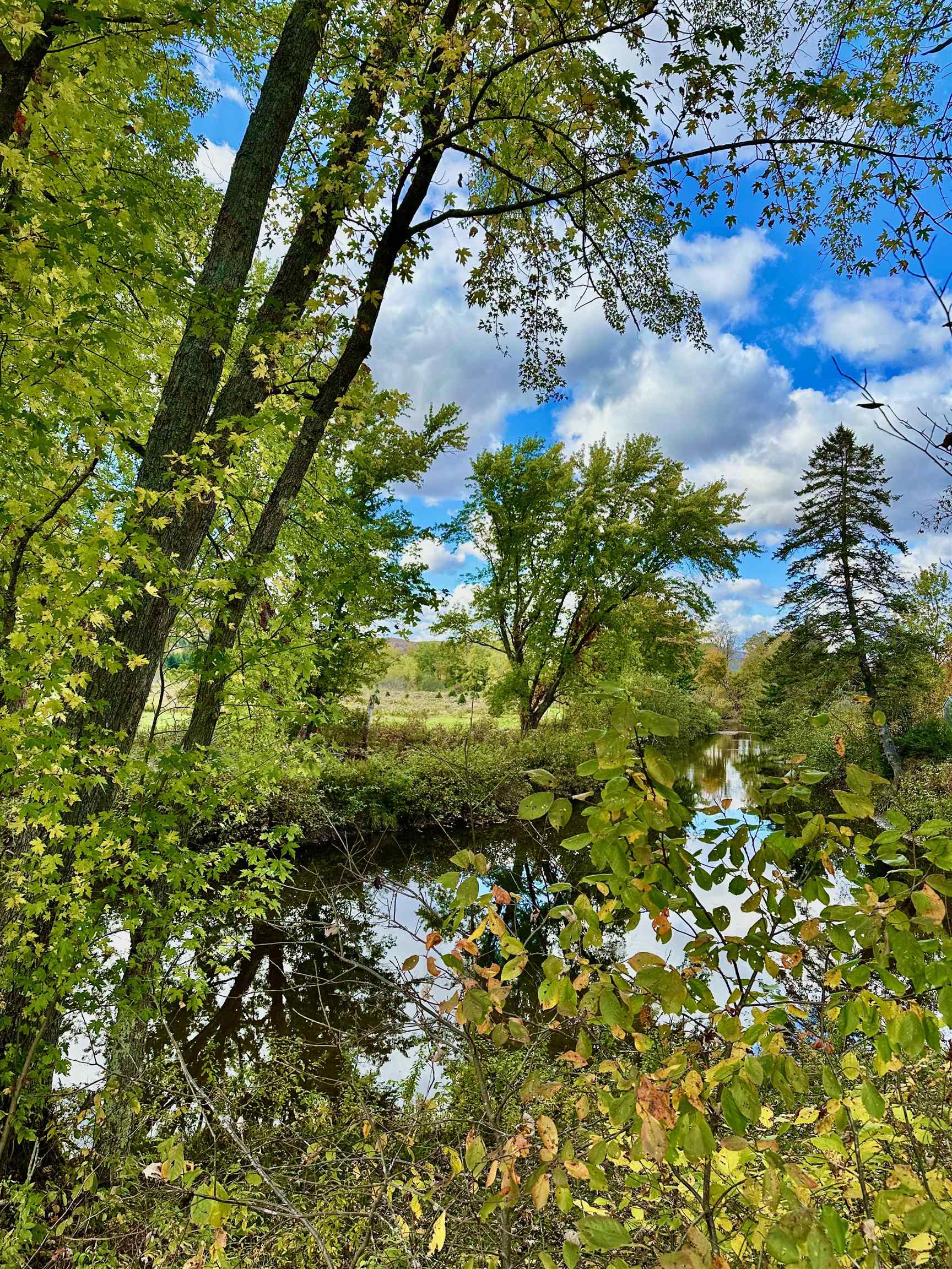 147 Canaan Mobile Home Park, Unit 18 Canaan, VT 05903 - Photo 44 of 53