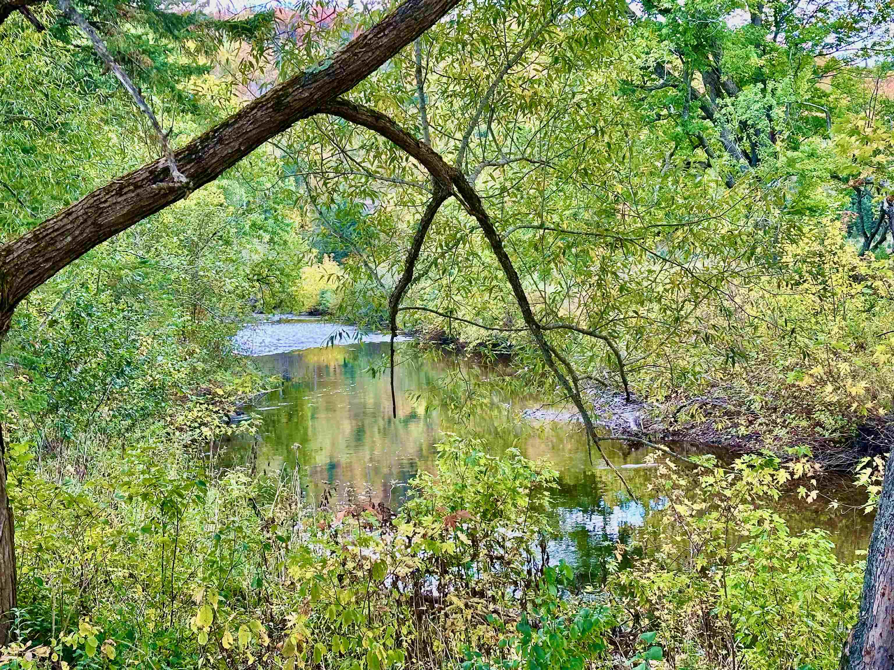 147 Canaan Mobile Home Park, Unit 18 Canaan, VT 05903 - Photo 50 of 53
