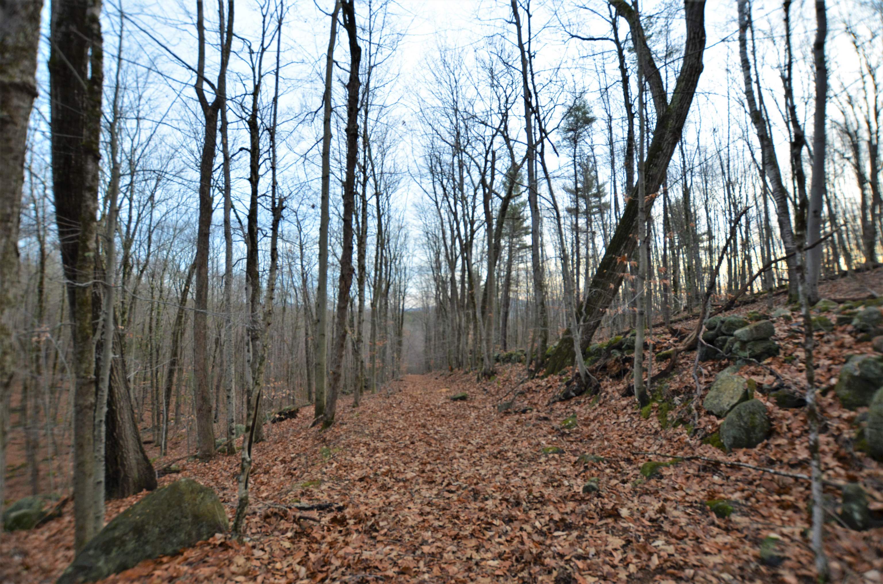 161 Crotched Mountain Road Greenfield, NH 03047 - Photo 22 of 29